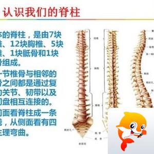朱梓升