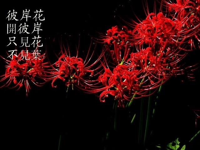与希尔