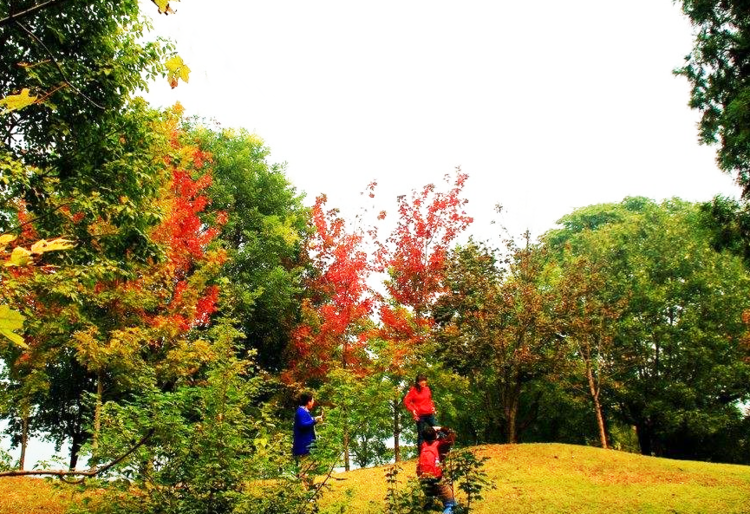 闻冬
