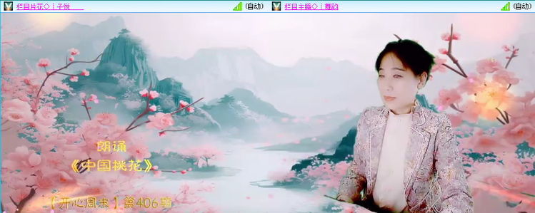 无言🎤V娱热点