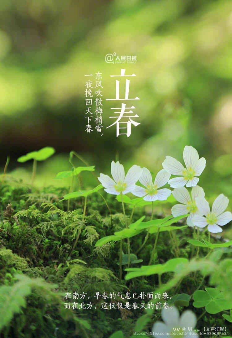 圳……【文声汇影】