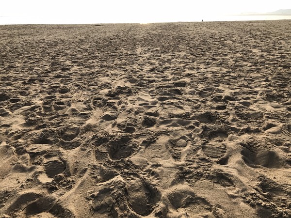 写下的两个字 -- 中 国在鸦片战争的硝烟之后用疮痍的土地作纸用茫茫