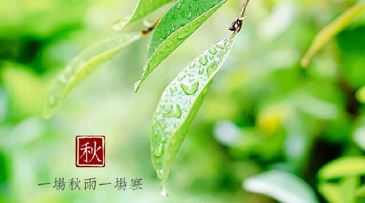 雪儿🎤V娱热点