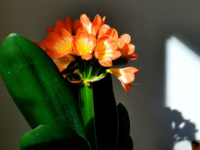 小浅🎤V娱热点