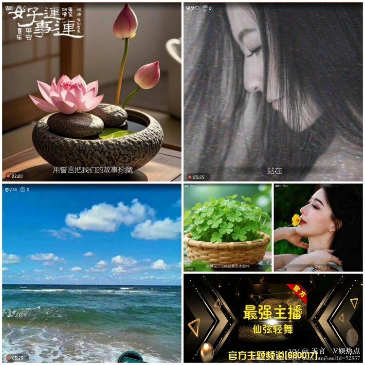 无言🎤V娱热点