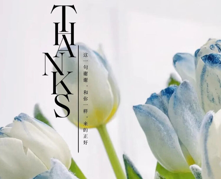 雪儿🎤V娱热点