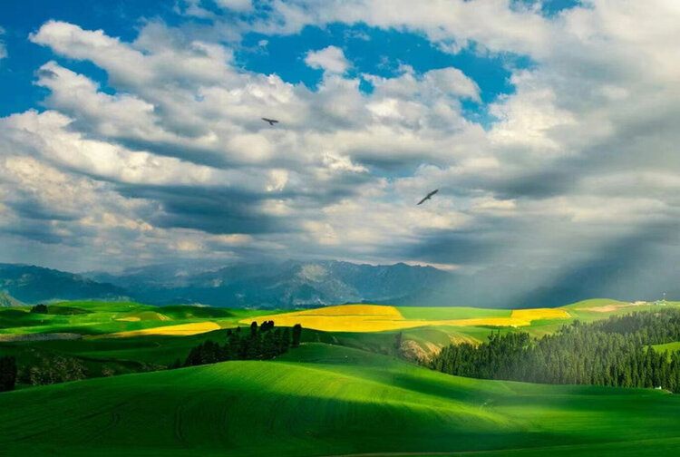 雪儿🎤V娱热点