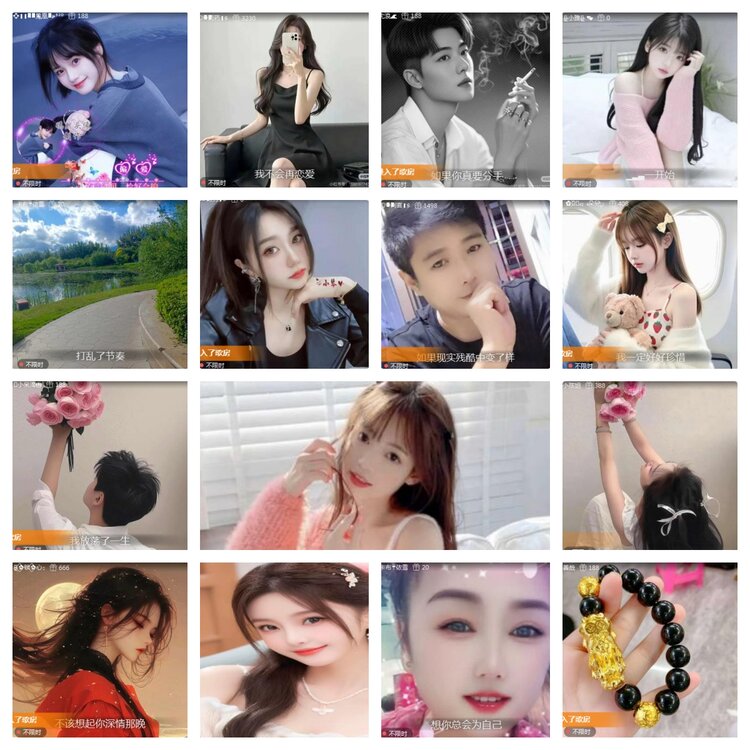 海燕🎤V娱热点