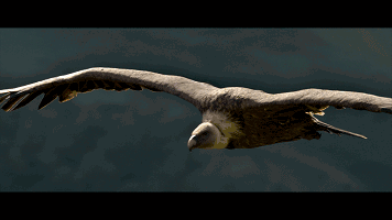 356_200gif 动态图 动图