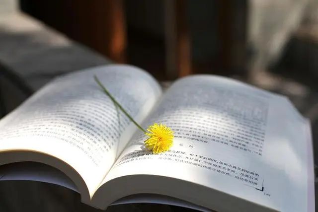 小浅🎤V娱热点