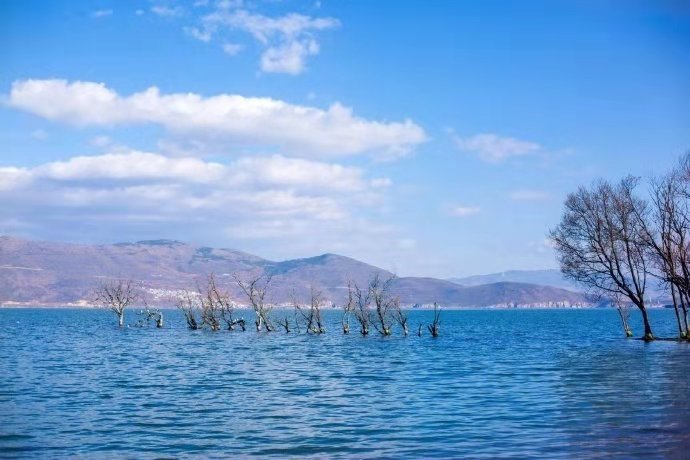 洱海澄明胜景临vv首发