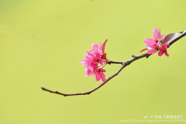 司徒【美摄视界】