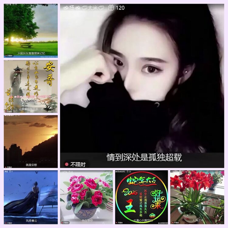 航航🎤V娱热点