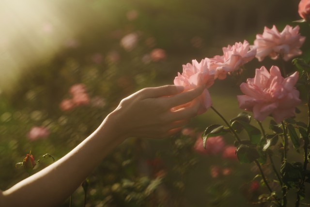 小浅🎤V娱热点