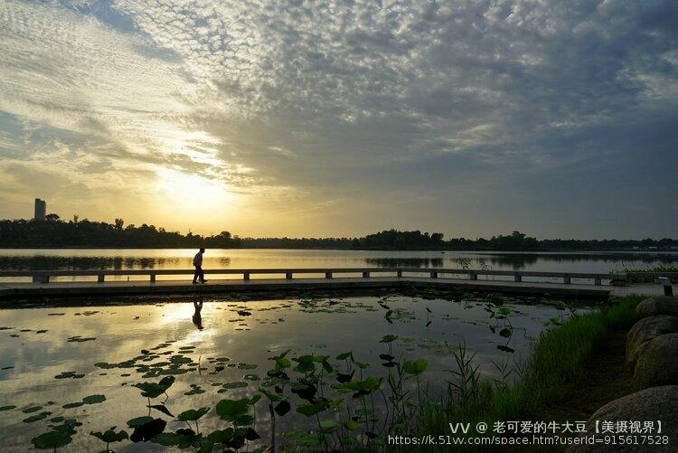 老可爱的牛大豆【美摄视界】