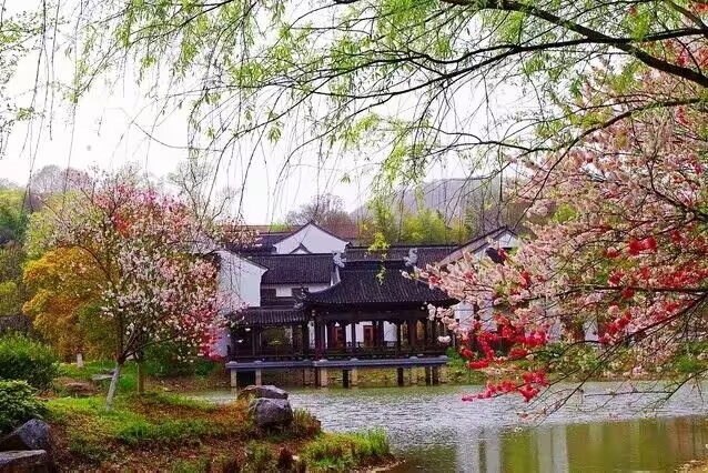 小浅🎤V娱热点