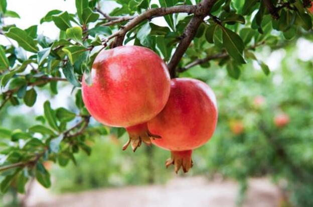 曾经🎤V娱热点