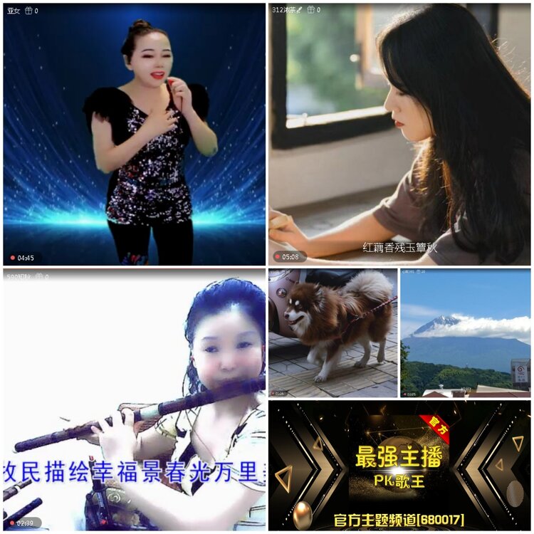无言🎤V娱热点