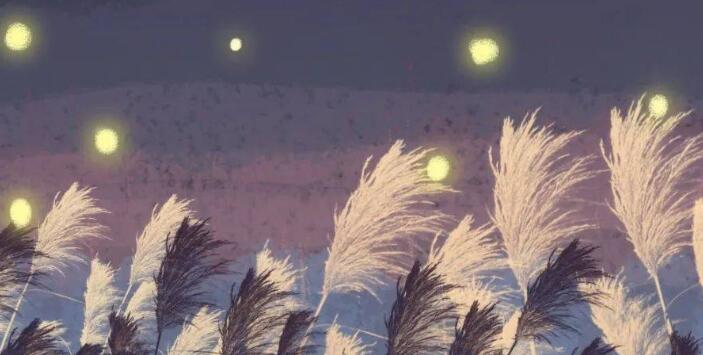 曾经🎤V娱热点