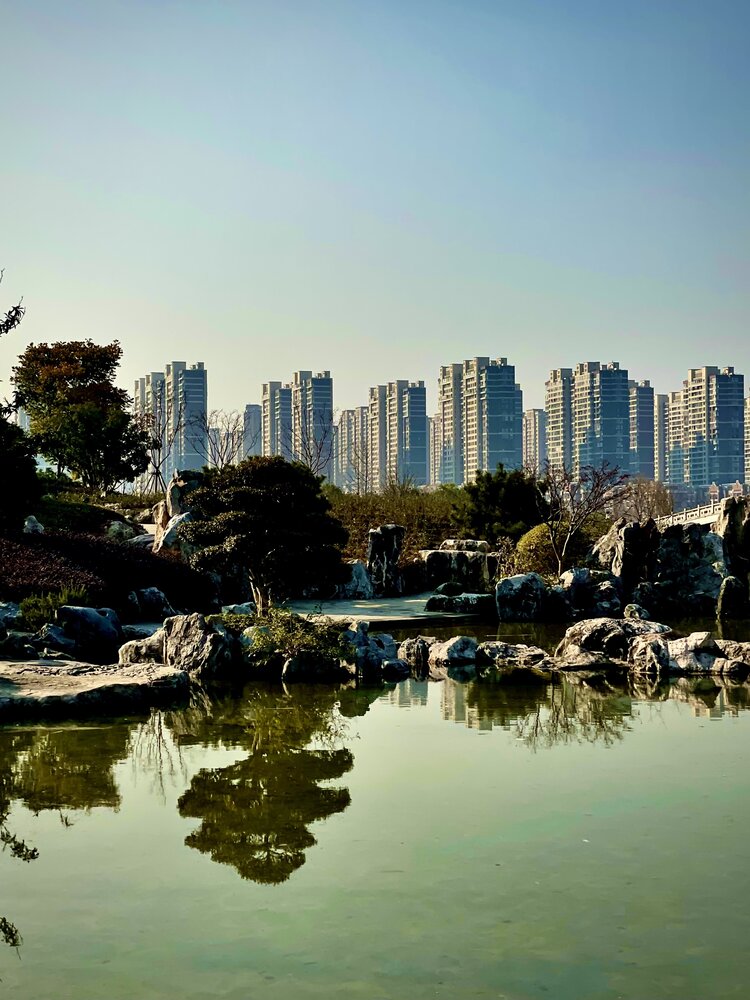 南京仙林湖的深秋