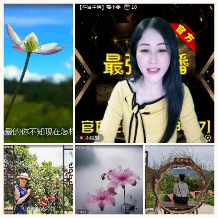 落雪🎤V娱热点