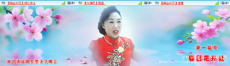 无言🎤V娱热点