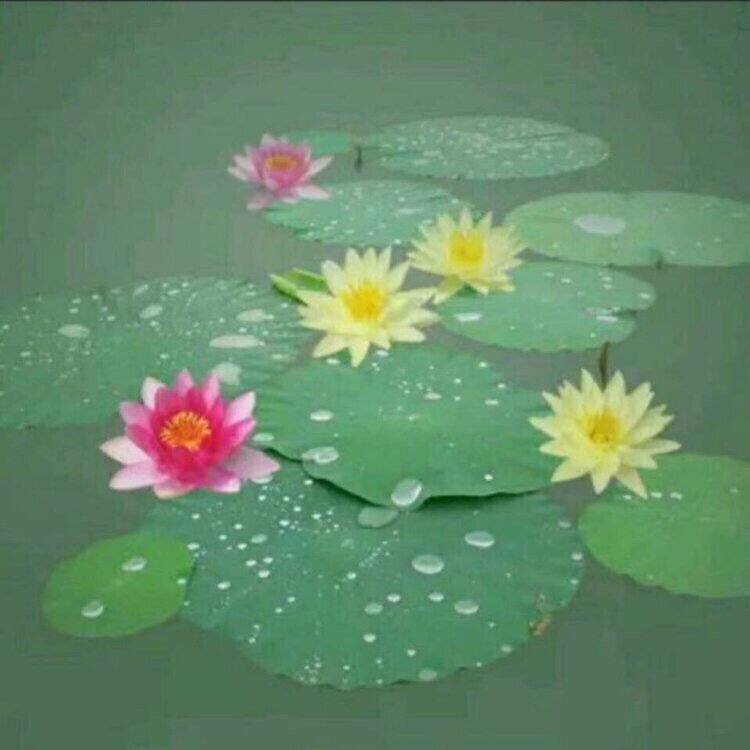 诗情画意