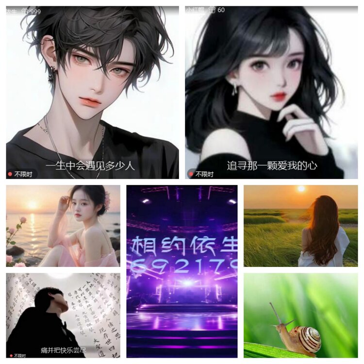 海燕🎤V娱热点