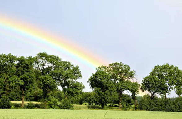 雪儿🎤V娱热点