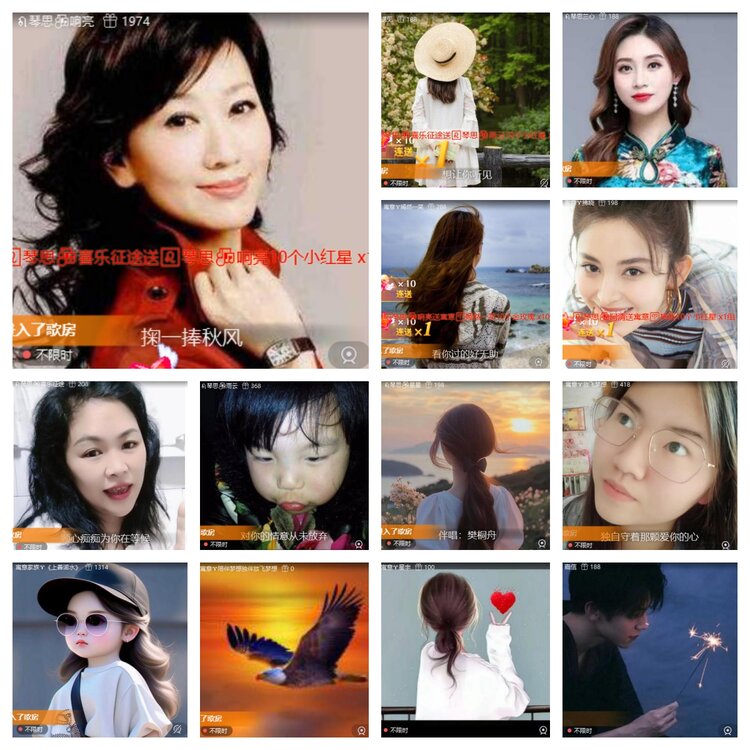 心玫🎤V娱热点