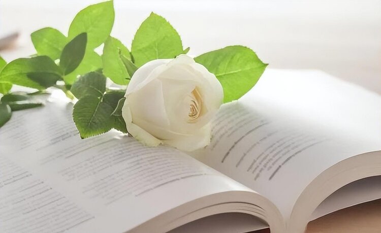 小浅🎤V娱热点