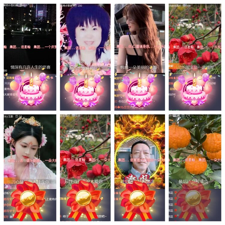 海燕🎤V娱热点