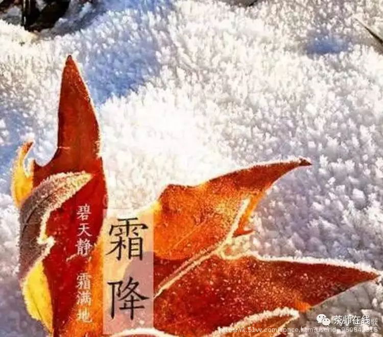 闫歌