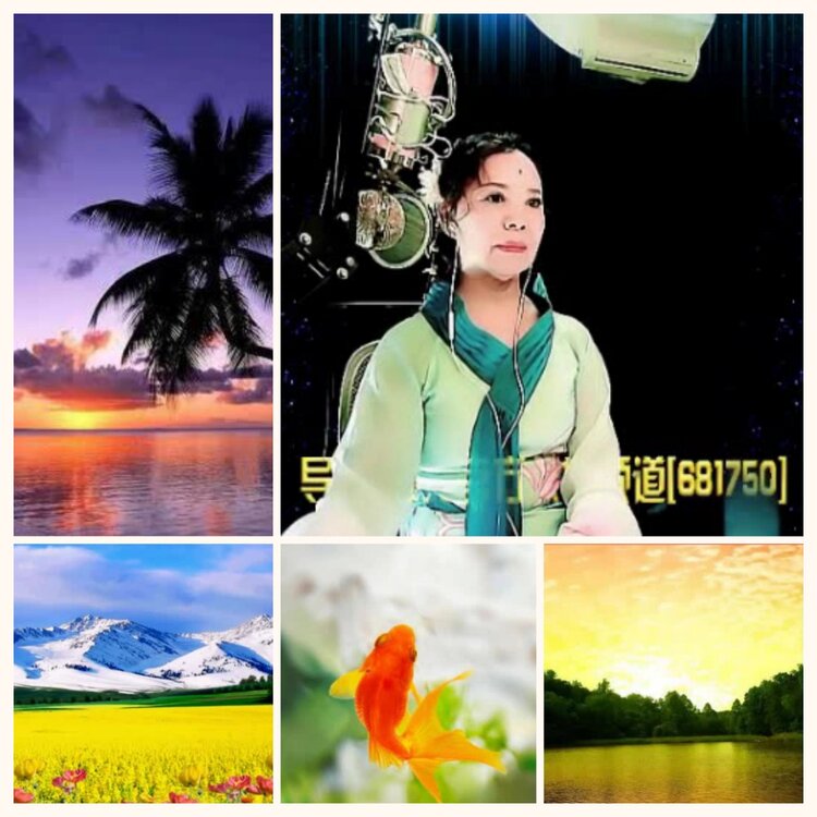 落雪🎤V娱热点