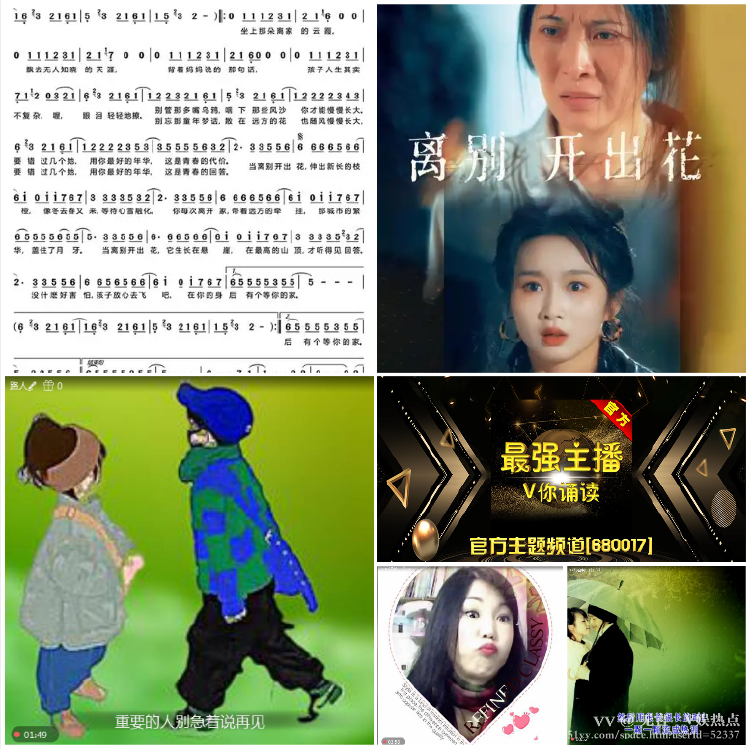 无言🎤V娱热点