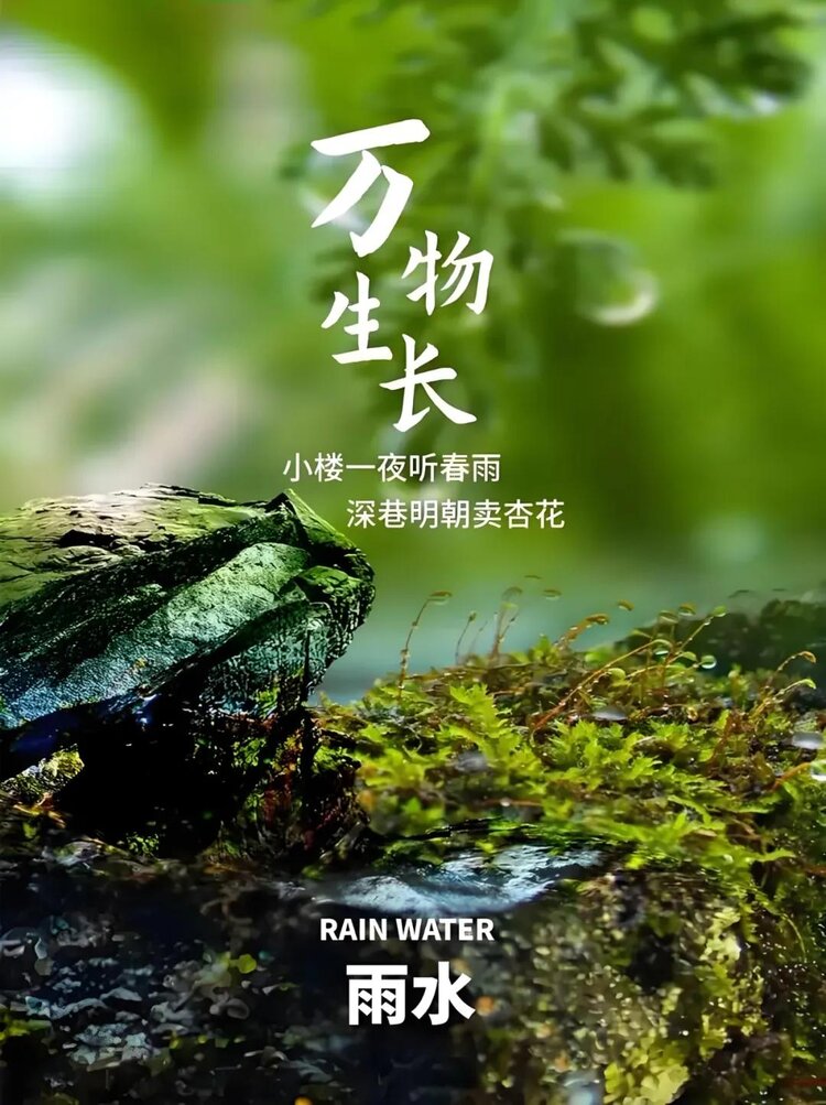 小浅🎤V娱热点