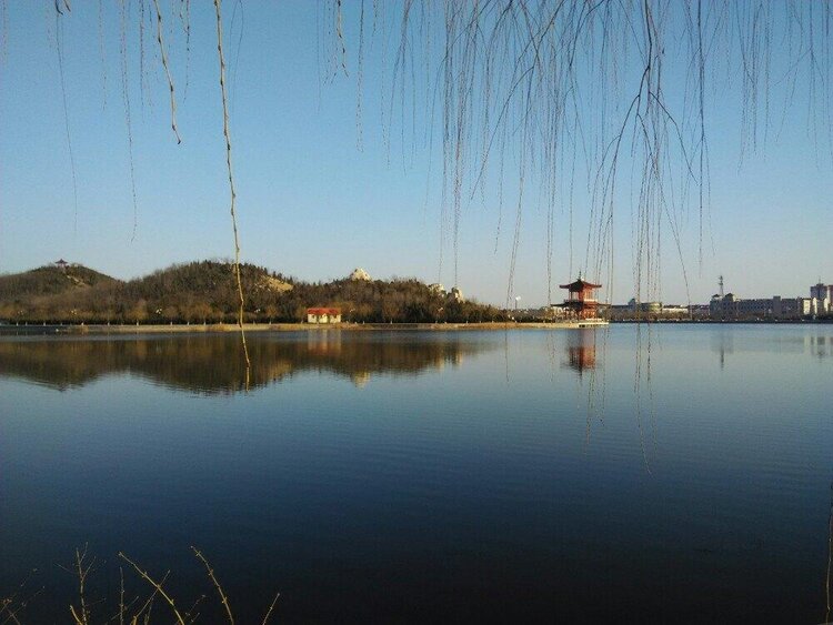 向日葵🎤V娱热点