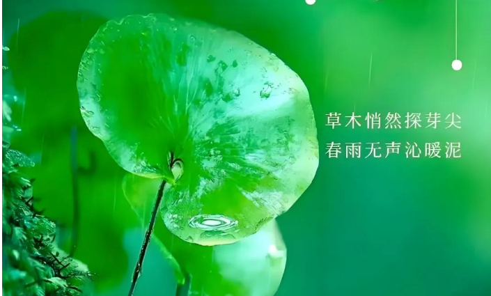 小浅🎤V娱热点