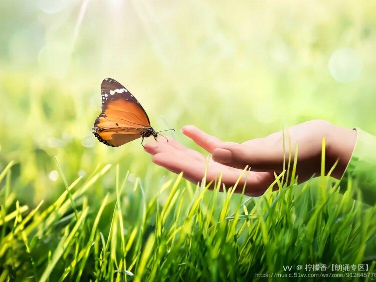时光的指尖