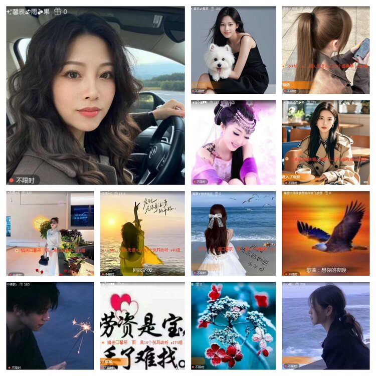 海燕🎤V娱热点