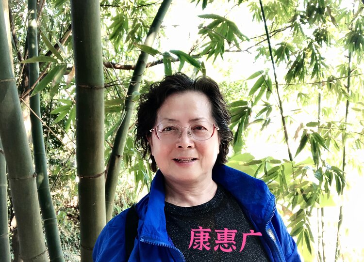 诗入人心（金花）