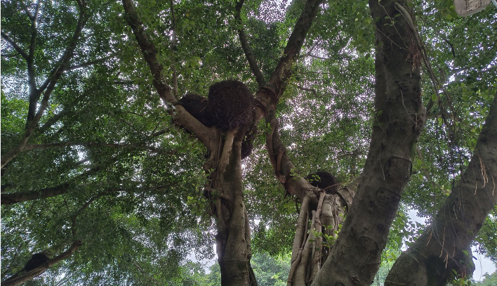 雪儿🎤V娱热点