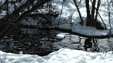 6百鸟争鸣赛呐喊大地复苏生机现冰雪消融水流喘严冬远去天变暖严冬