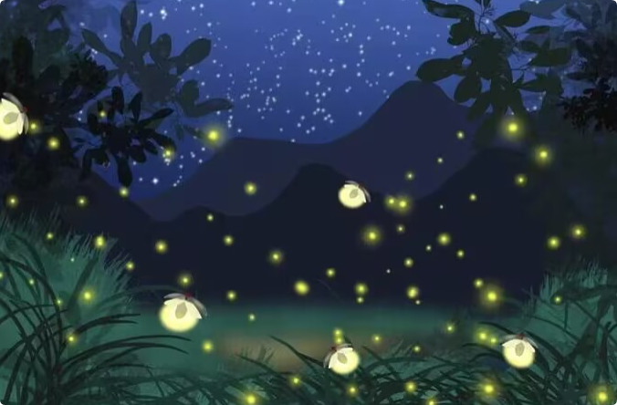 海燕🎤V娱热点