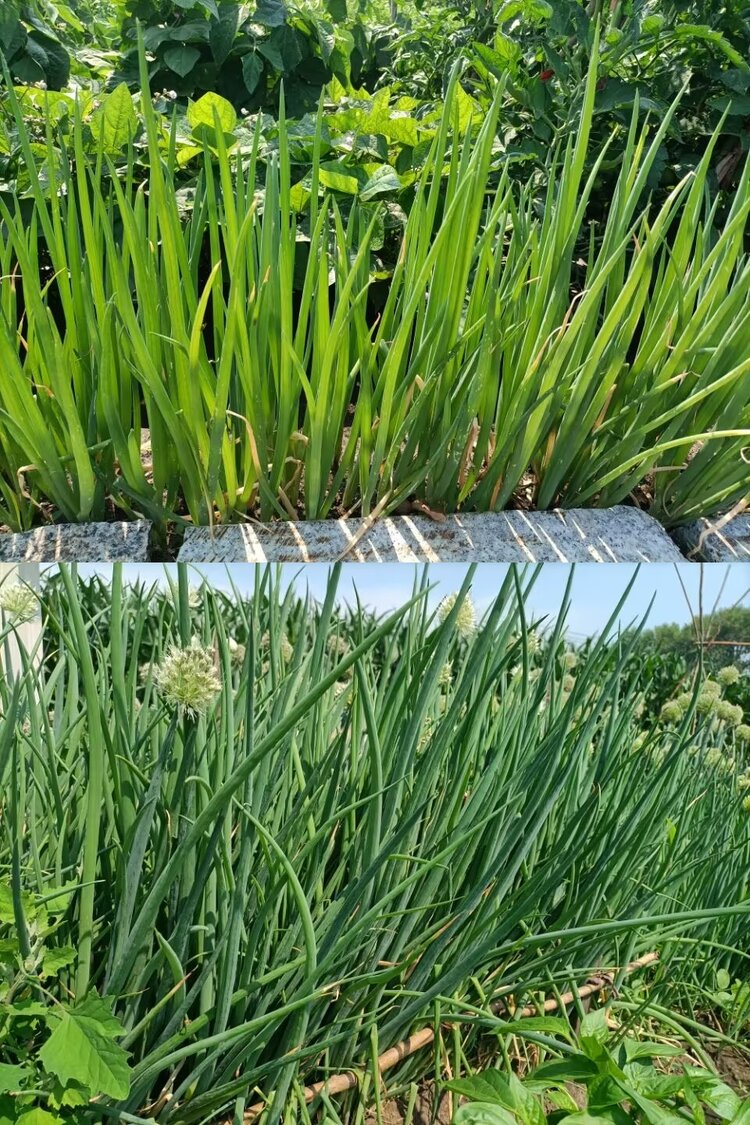 海燕🎤V娱热点