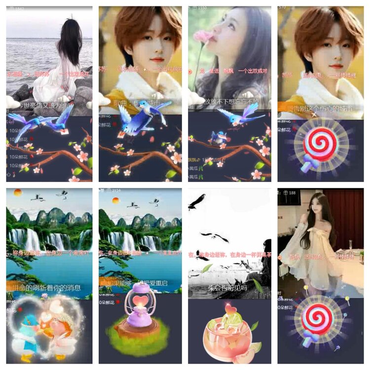 海燕🎤V娱热点