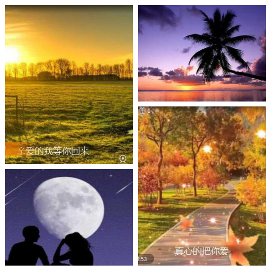 芯薇🎤V娱热点