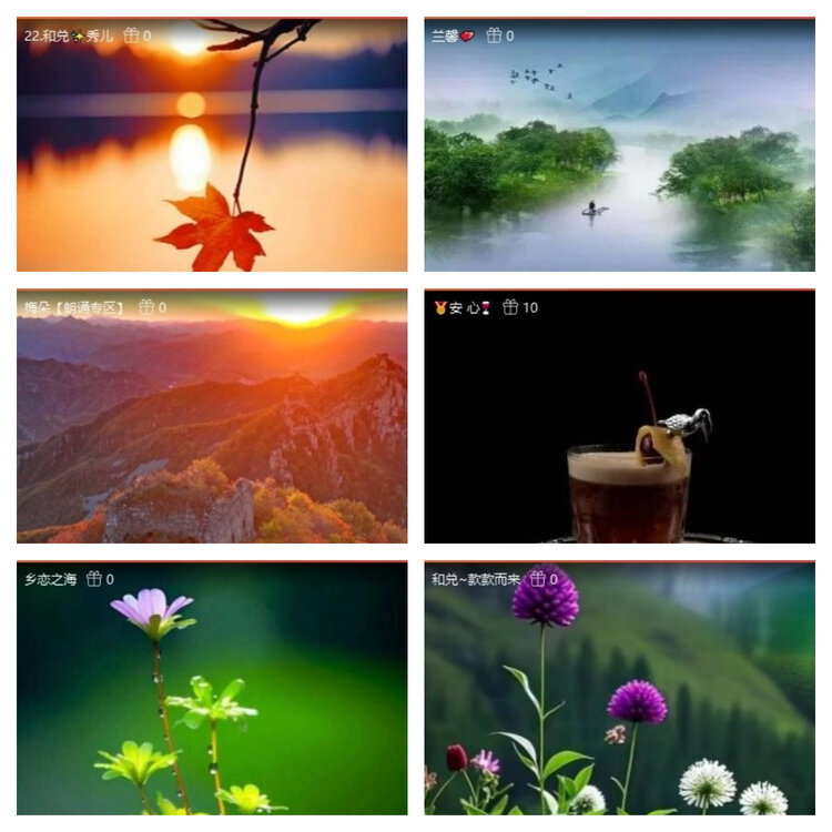 风景🎤V娱热点