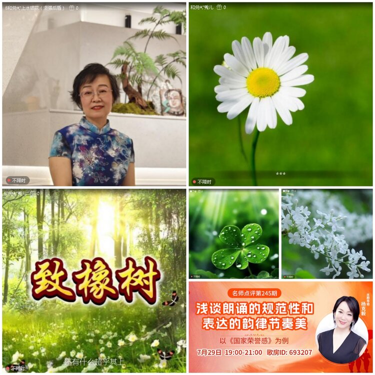 无言🎤V娱热点