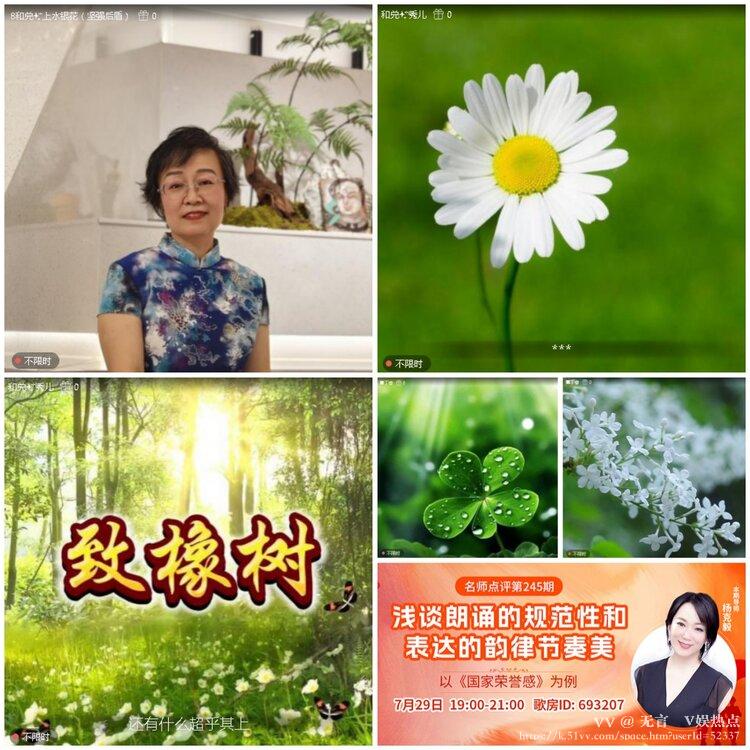 无言🎤V娱热点